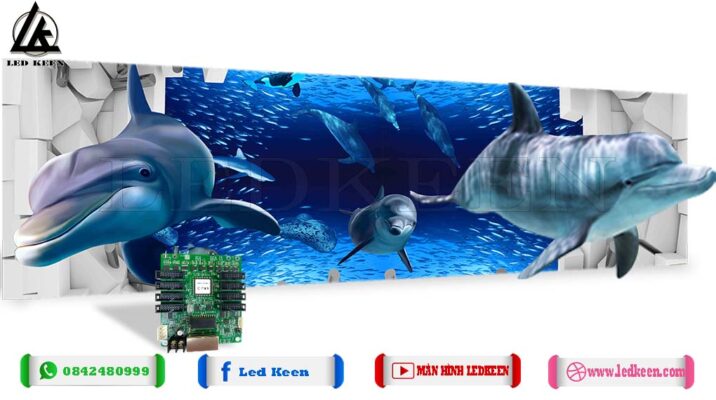 Hỗ trợ 3D, tạo ra trải nghiệm nhập vai